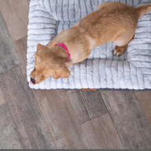 Cloud Comfort Pet Bed
